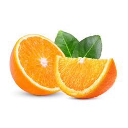L'orange chez Elite Fruits