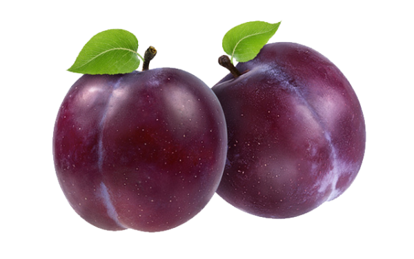 Plum | Elite Fruits